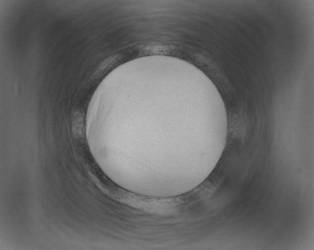 X0000080690036200701121737