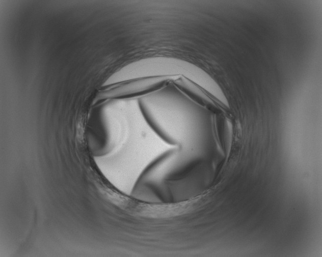 X0000080690037200701121736