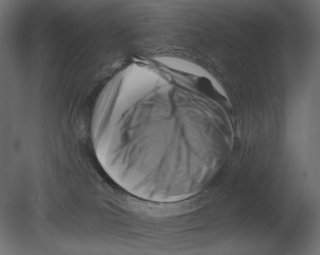 X0000080690039200701121736