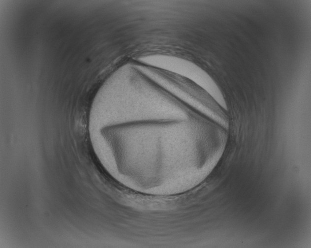 X0000080690040200701121736