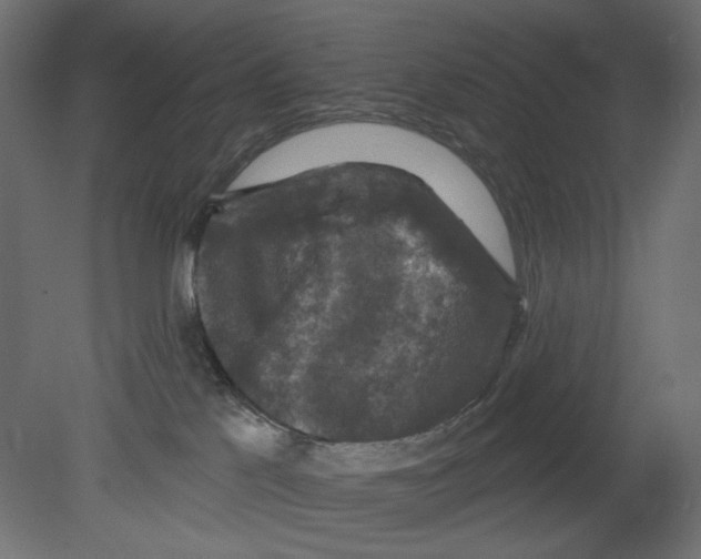 X0000080690041200701121736