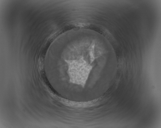 X0000080690043200701121736