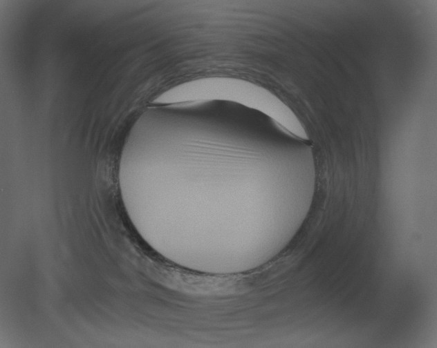 X0000080690044200701121736