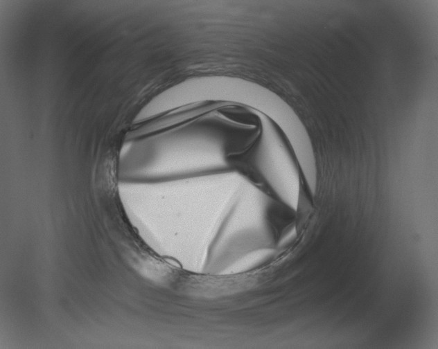 X0000080690045200701121736