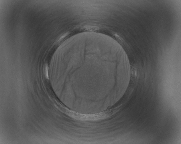 X0000080690046200701121736