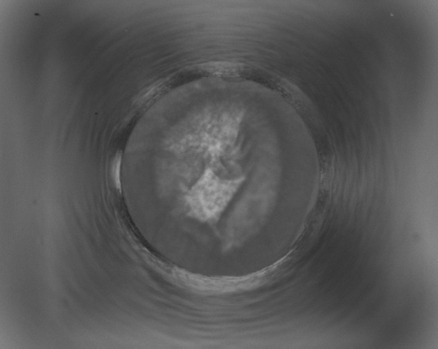 X0000080690047200701121736