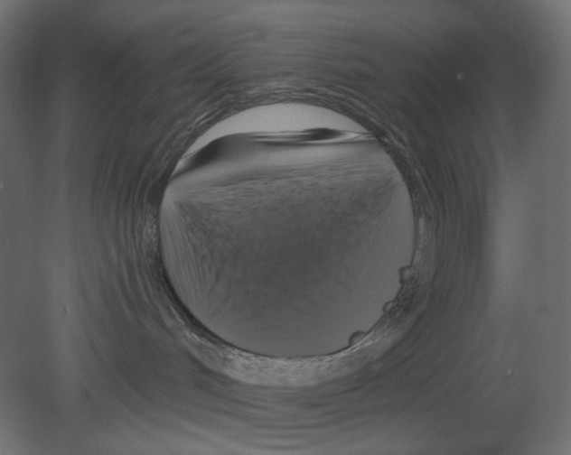 X0000080690048200701121736