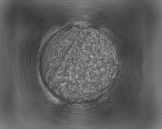 X0000080690049200701121735