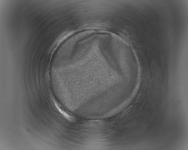 X0000080690050200701121736