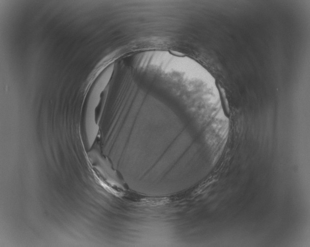 X0000080690051200701121736