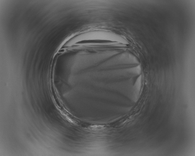 X0000080690052200701121736