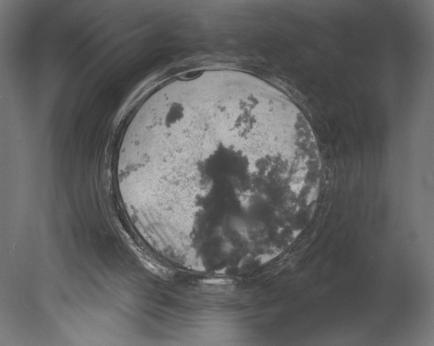 X0000080690053200701121736