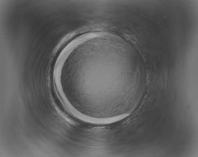 X0000080690054200701121736