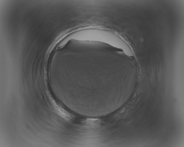 X0000080690055200701121736