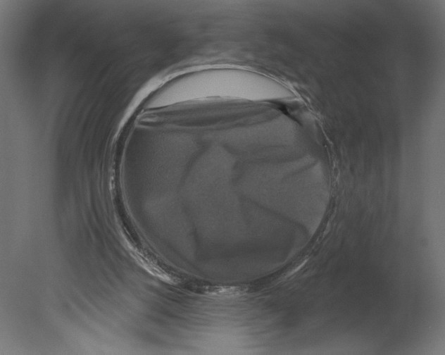 X0000080690056200701121736