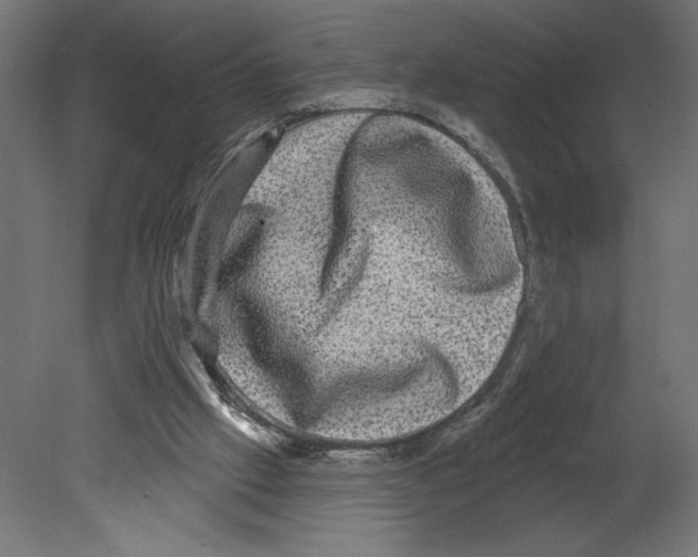 X0000080690057200701121736