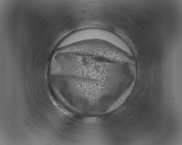 X0000080690058200701121736