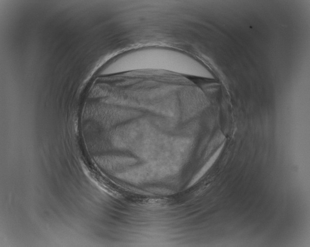 X0000080690060200701121736