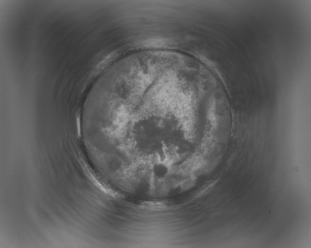 X0000080690061200701121736