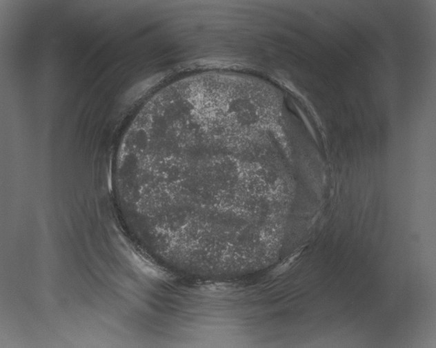 X0000080690062200701121736