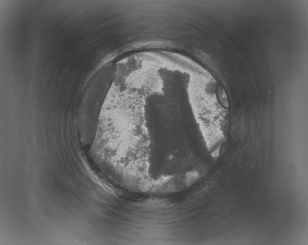 X0000080690063200701121736