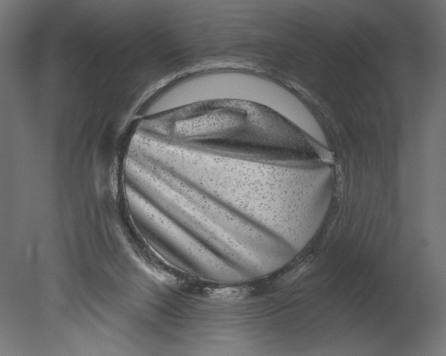 X0000080690064200701121736