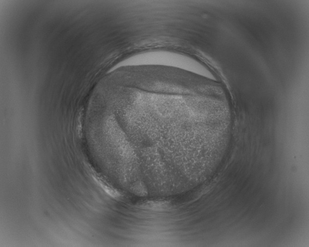 X0000080690065200701121736