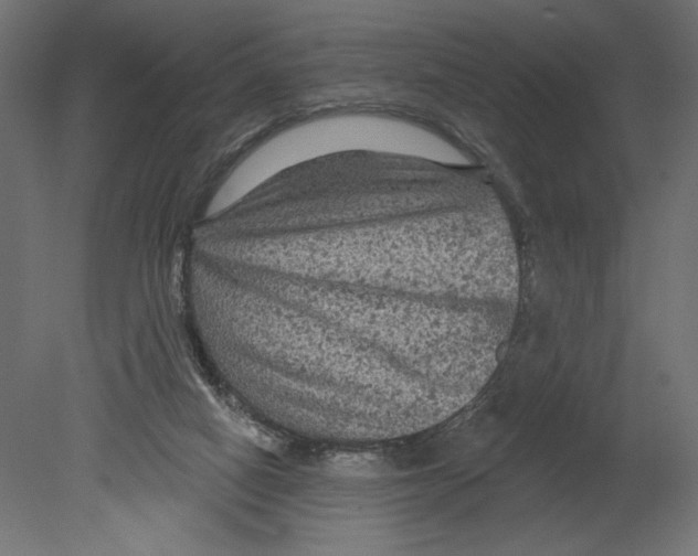 X0000080690066200701121736