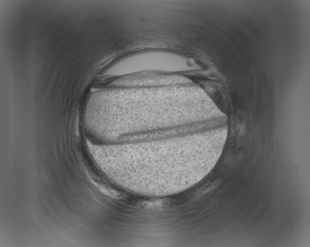 X0000080690068200701121736