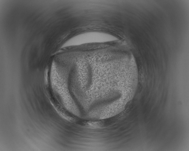 X0000080690070200701121736