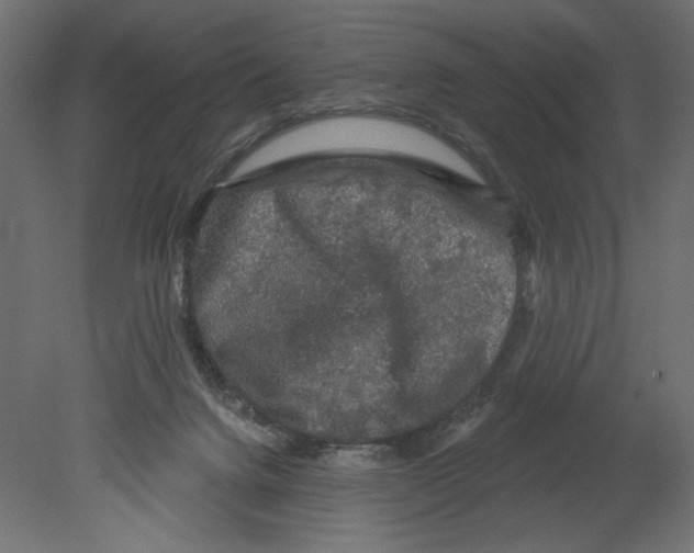 X0000080690072200701121736