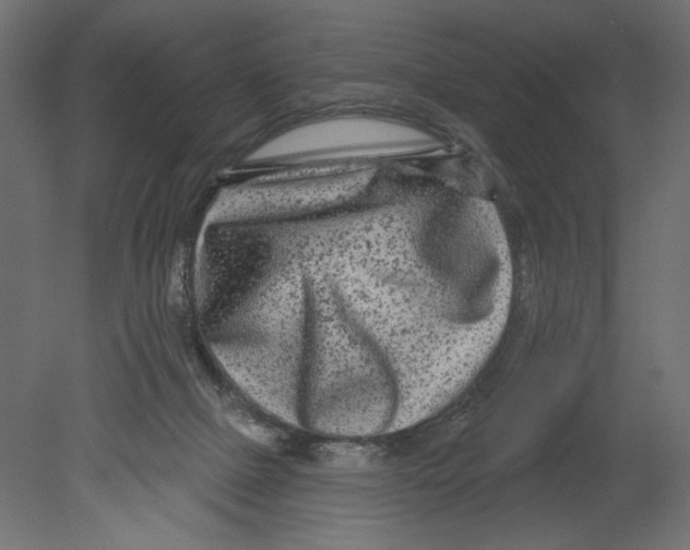 X0000080690073200701121736