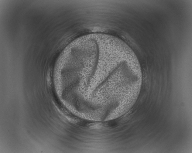 X0000080690074200701121736