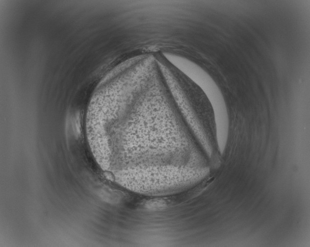 X0000080690075200701121736