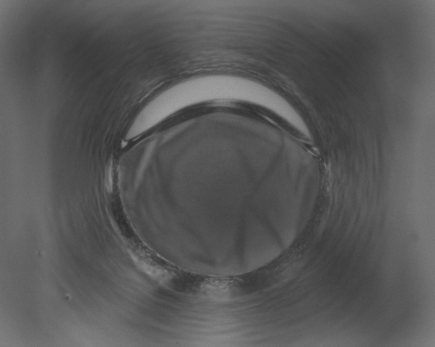 X0000080690076200701121736