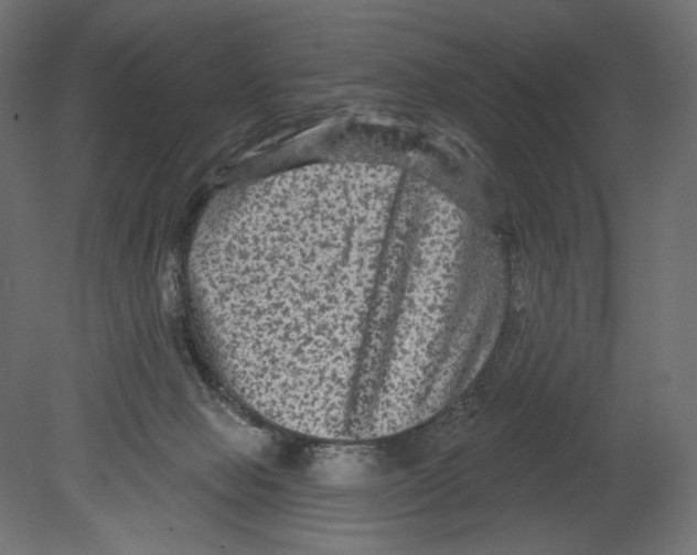 X0000080690077200701121736