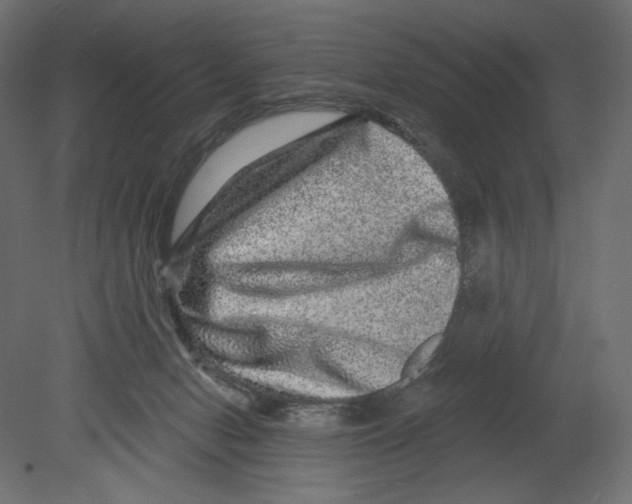 X0000080690078200701121736