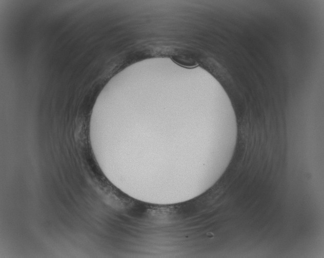 X0000080690079200701121736