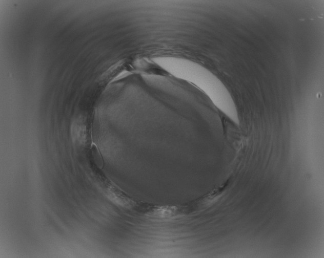 X0000080690080200701121736