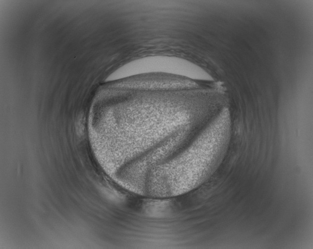 X0000080690081200701121736