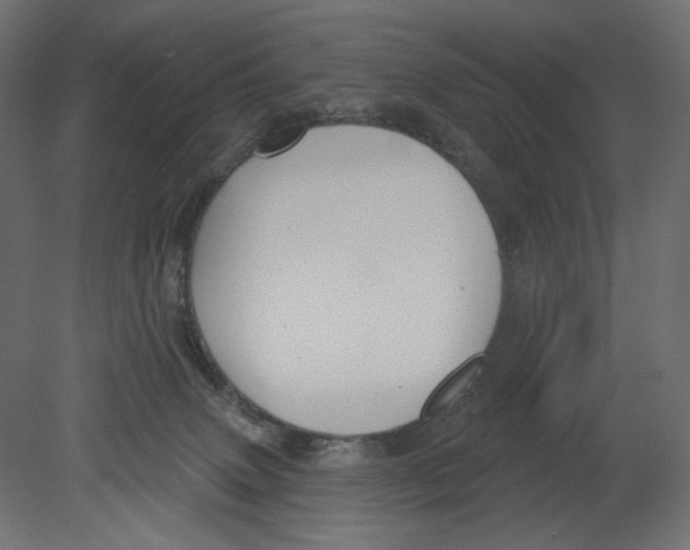 X0000080690083200701121736