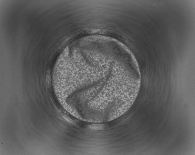 X0000080690085200701121736