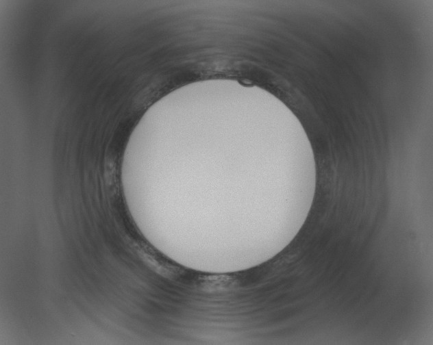 X0000080690087200701121736