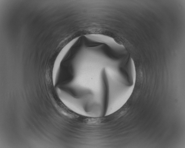 X0000080690088200701121736