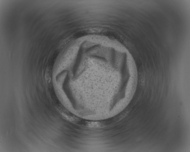 X0000080690091200701121736