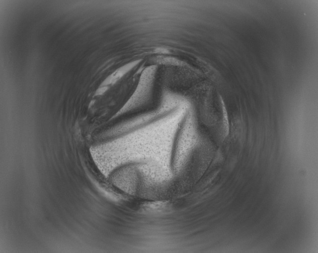 X0000080690092200701121736