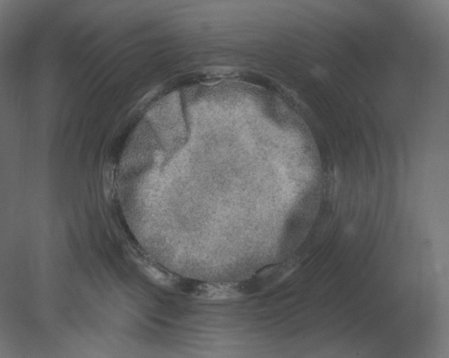 X0000080690093200701121736