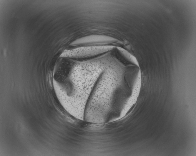 X0000080690094200701121736