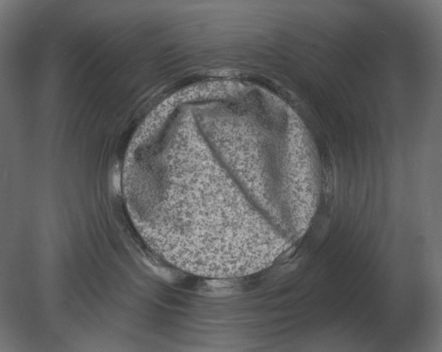 X0000080690095200701121736