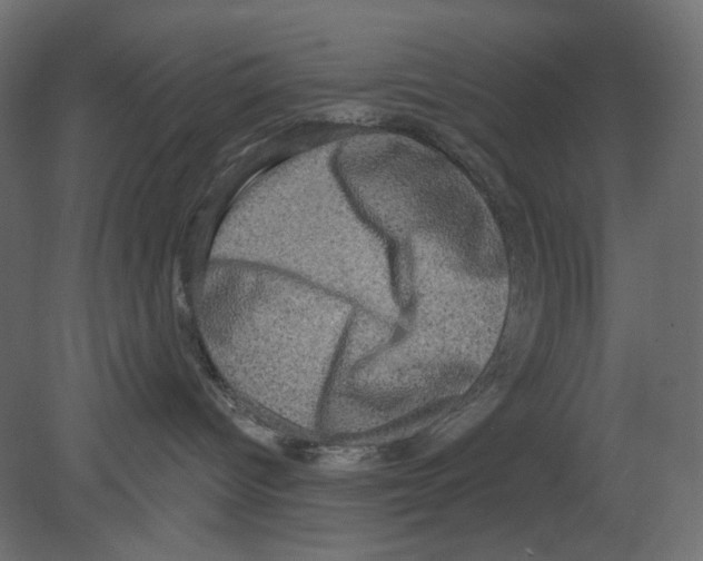 X0000080690096200701121736